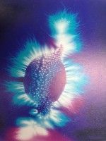 5 voordelen van rawfood