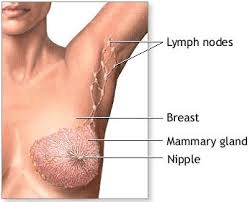 Een wijze les van Hippocrates: masseer je borsten!