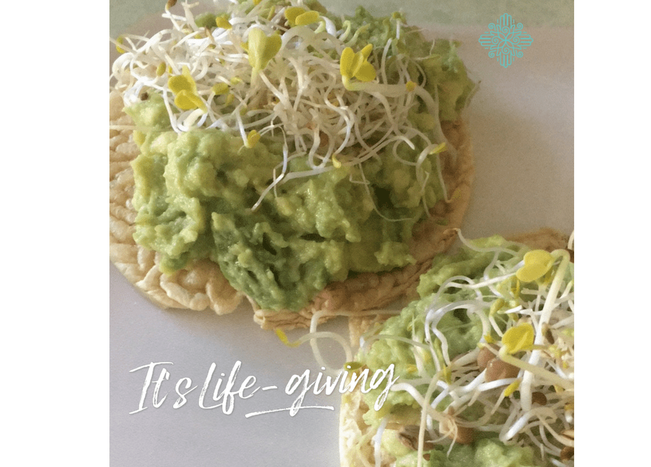 Guacamole om je vingers bij af te likken